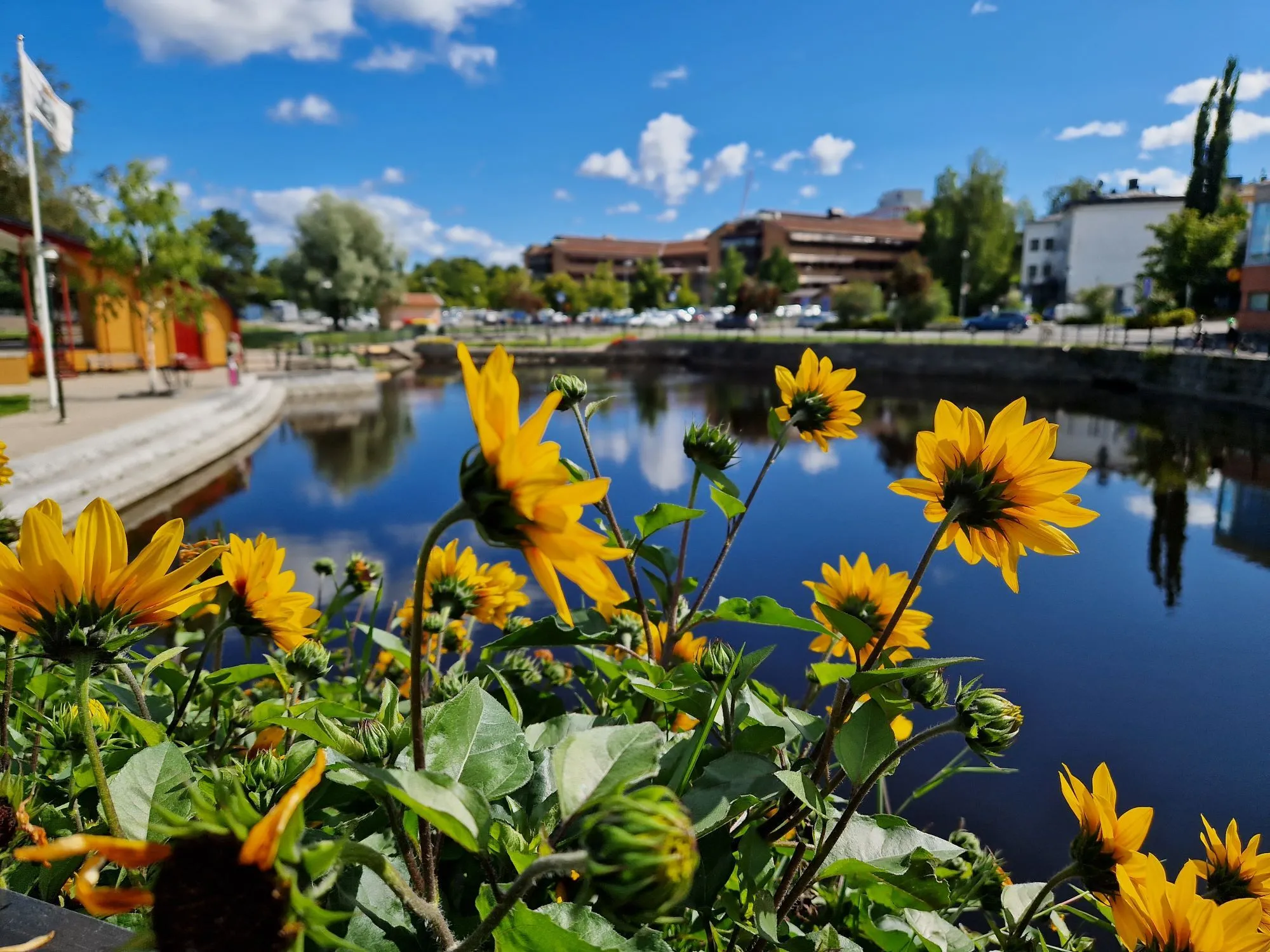Sollefteå kommun